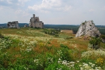 Panorama zamku w Mirowie.