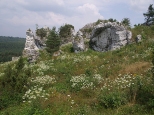 Jurajski pejza z okolic zamku w Bobolicach.