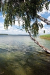 Jezioro Wigry - widok na Plos Bryzglowski w kierunku Zaktw. Wigierski Park Narodowy