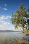 Jezioro Wigry - przy pnocnym kracu wyspy Ordw znajduje si niezwykle malownicza plaa. Wigierski Park Narodowy