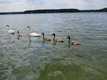 Jezioro Wdzydzkie