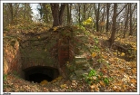 miw - ruiny dworu z 2 poowy XVIII wieku