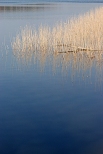 Jezioro Wysokie Brodno - przedwionie