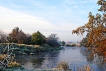 Brzegi rzeka Nida koo ernik 11.10.2010
