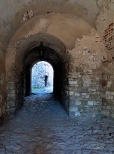 W ruinach zamku Lipowiec.