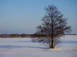 Zimowy obrazek
