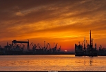 Port Gdynia
