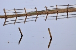 Widok z mostu w Strkowej Grze na rozlewiska Narwi
