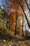 Dolina Kobylaska w jesiennych barwach