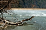 Jezioro Wigry - zatoka Przewokowa.