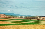 Henrykw - polna panorama