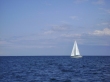 Bałtyk - Samotny okręcik na pełnym morzu.