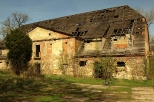 Ruiny pałacu w Piorunkowicach