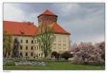 wiosenny Wawel
