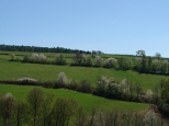Wiosenne pola w okolicy Bukowca