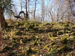 Ruiny koscioa w Rajskie