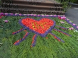 Zalesie. Boe Ciao 2012 r., kwiatowe dywany.