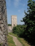 Ruiny zamku w Chcinach