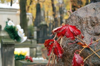 Stare Pow±zki. Warszawa