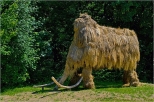 Mamut z Wigierskiego Parku Narodowego.