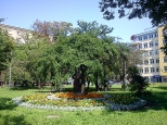 Parki w Kielcach