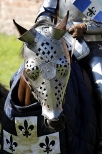 Oblężenie Malborka 2012 - zbroja dla konia na turniej joust