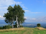 Panorama z Jedlnika