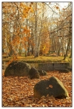 Kalisz - kamienie nad stawem w Parku Miejskim
