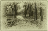 Jesienny park w Wgrowie