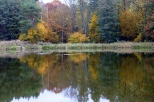 Barwy jesieni - stawy na skraju Puszczy Barlineckiej