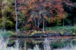 Barwy jesieni - stawy na skraju Puszczy Barlineckiej