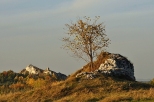 Widok z Podzamcza na Górę Birów