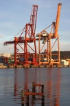 Terminal kontenerowy w Gdyni