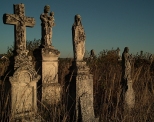 Roztocze, cmentarz w Nowym Brunie