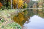 Barwy jesieni - w Puszczy Barlineckiej