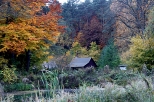 Barwy jesieni - ostoja myliwska w Puszczy Barlineckiej