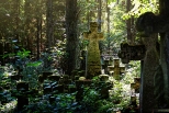 Opuszczony cmentarz w lesie
