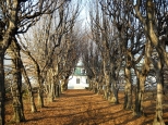 Park w Mogilanach i listopadowe drzewa
