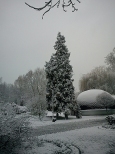 Zima wszędzie,także w parku zdrojowym w Busku-Zdroju