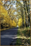 Droga w okolicach Obornik laskich w  jesiennych barwach.