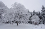 Zima w rejonie Bukowca