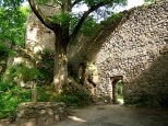 Ruiny zamku Bolczów