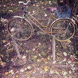 Po prostu... rower. Przy ulicy Szkolnej w Kazimierzu Dolnym