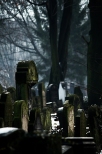 Cmentarz ydowski