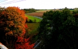 Jesienny widok z korony wiaduktu kolejowego w Buszkowie ...