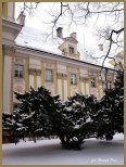 Klasztor w. Jadwigi lskiej w zimowej szacie