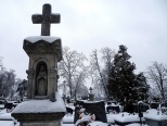 cmentarz w Puszczy Solskiej
