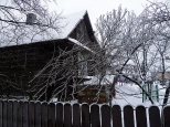 zimowo w Puszczy Solskiej
