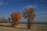 Sopot - jesień na plaży.