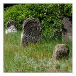 Żyrardów - cmentarz żydowski